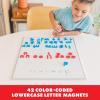 Educational Insights Color-Coded Lowercase AlphaMagnets, Set of 42 Magnetic Lowercase Letters: Perfect for Homeschool, Preschool Readiness & Classroom, Ages 3+(AlphaMagnets)