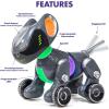 Educational Insights PYXEL A Coder’s Best Friend – Programmable Coding Robot for Kids with Blockly & Python Languages, Learn Early Robotics, Kids Robot & STEM Toys for Boys and Girls Ages 8+