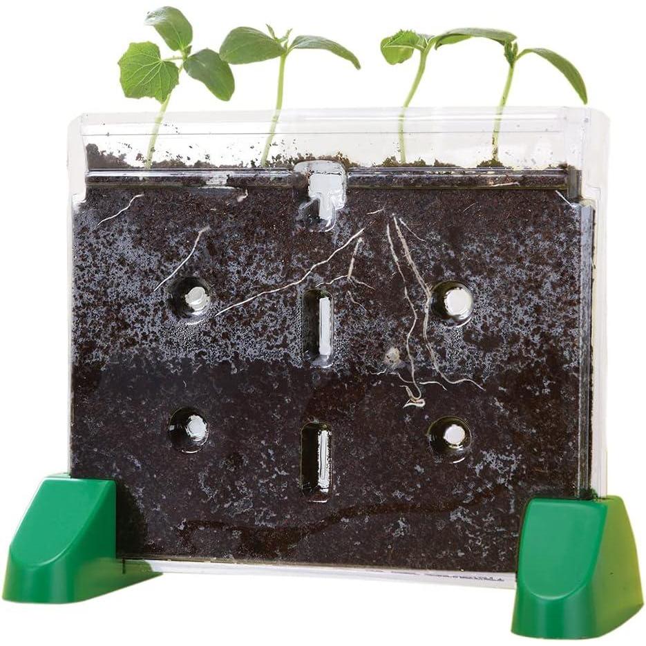 imageEducational Insights Sprout ampamp Grow Window SeeThrough Sprouts Growing Kit Kids Gardening Set Starter Science Kits for Kids Root Viewer Interactive Homeschool or Classroom Planter Ages 5