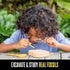 Educational Insights GeoSafari Fossil Excavation Kit, Kids Science Kit, Dinosaur Science Toy, Ages 7+
