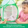 Educational Insights GeoSafari Jr. Butterfly Bungalow, Science Kit with Live Caterpillars, Home & Classroom Insect Habitat, Raise & Release Your Own Butterflies, STEM Gift for Kids Ages 4+