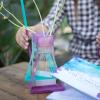Educational Insights Nancy B’s Science Club Way to Grow Hydroponics Kit & Gardening Diary