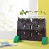 Educational Insights Sprout & Grow Window – See-Through Sprouts Growing Kit, Kids Gardening Set, Starter Science Kits for Kids, Root Viewer, Interactive Homeschool or Classroom Planter, Ages 5+