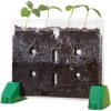 Educational Insights Sprout & Grow Window – See-Through Sprouts Growing Kit, Kids Gardening Set, Starter Science Kits for Kids, Root Viewer, Interactive Homeschool or Classroom Planter, Ages 5+