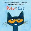 Educational Insights Pete the Cat Playfoam Shape & Learn Pete the Cat Groovin’ Alphabet Set with 8 Playfoam Bricks, 13 Double-Sided Cards, Gift for Kids Ages 3+