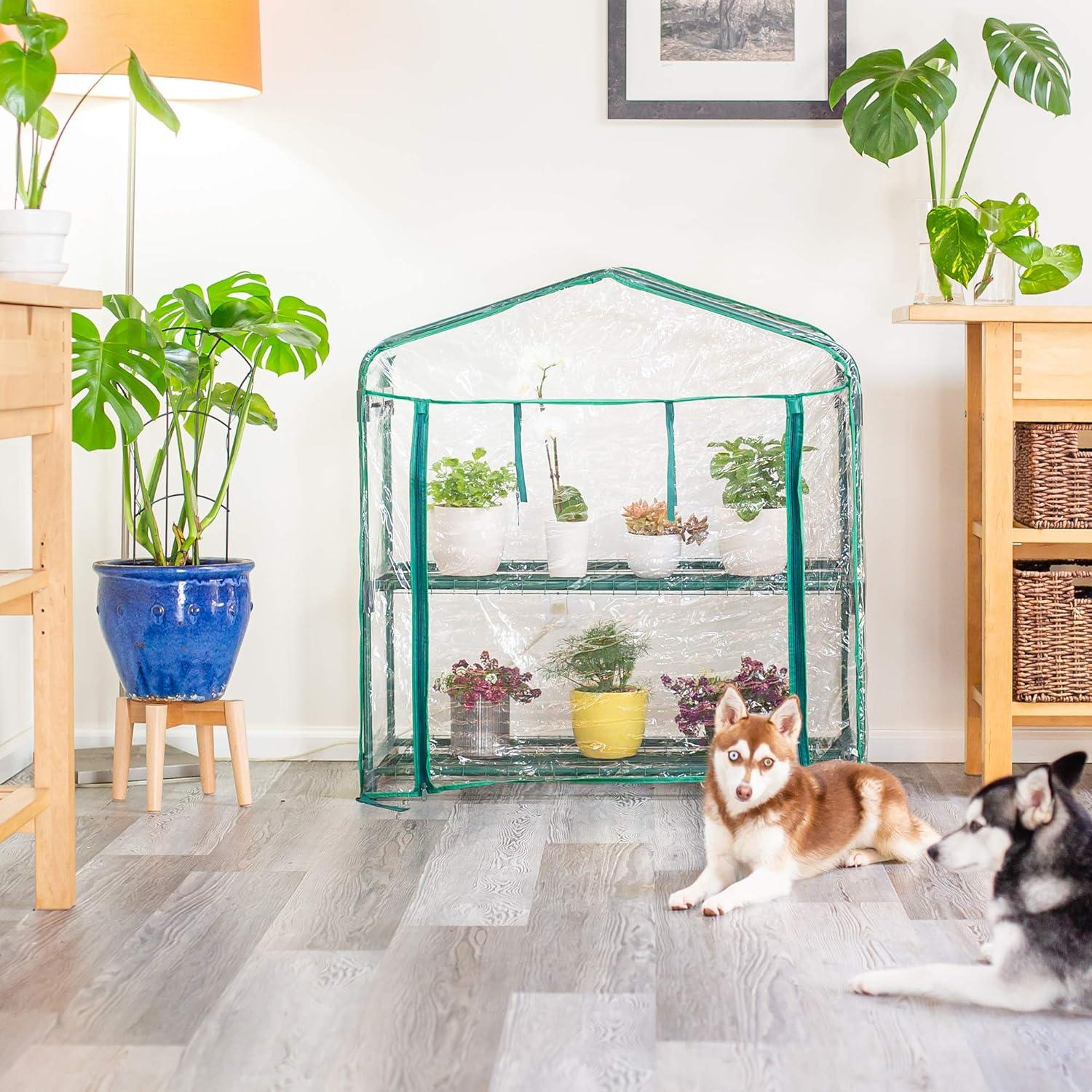 image:imageEducational Insights GreenThumb Greenhouse With Vinyl Cover Perfect For Classroom Home and Herb Gardens IndoorOutdoor Gardening